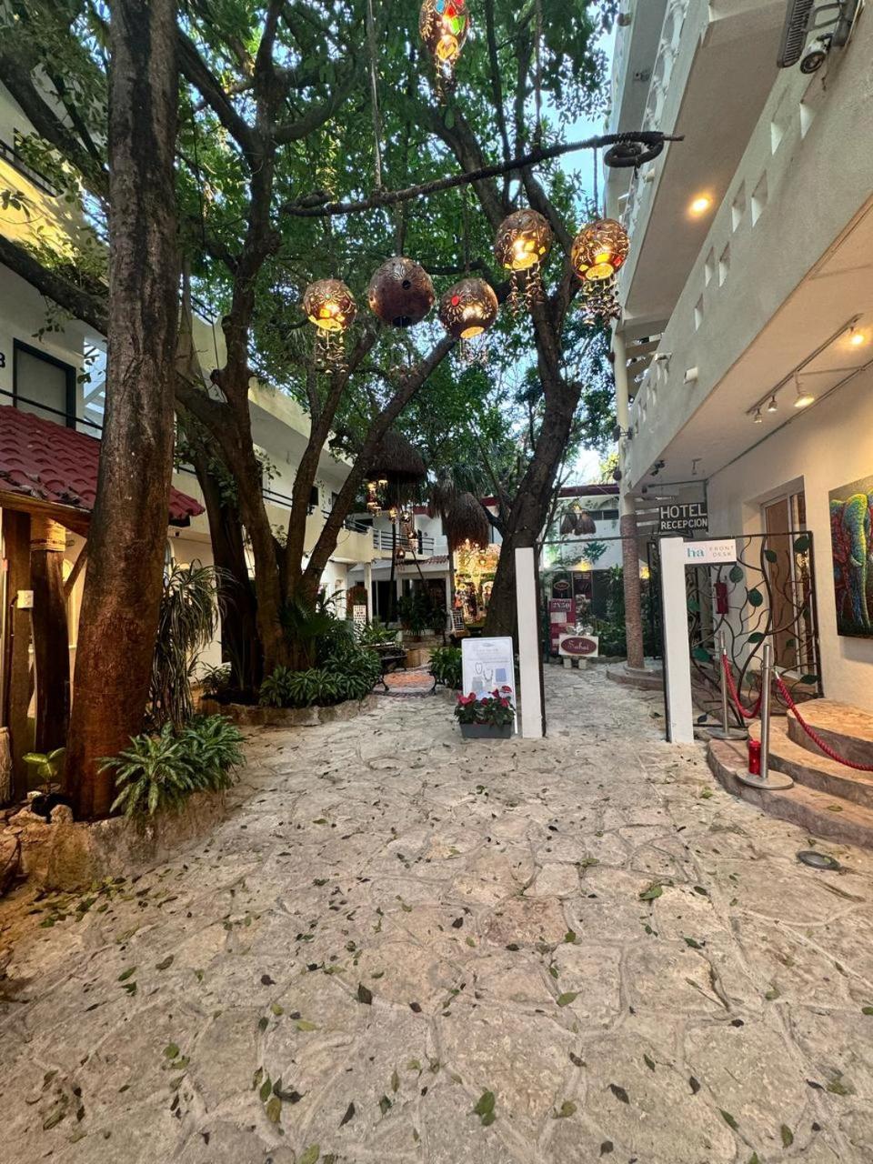 Hotel Ha Garden Gallery - 5Th Avenue Плая дел Кармен Екстериор снимка